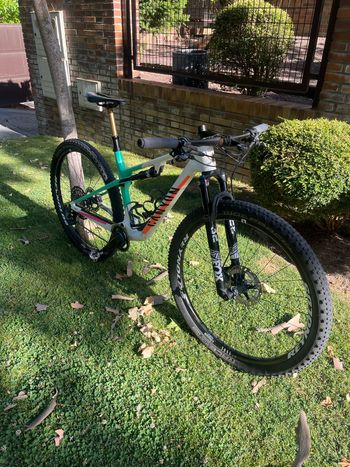 Used Canyon Lux World Cup CF 7 2023 2023 Mountainbike, Weiß — image 6 of 8