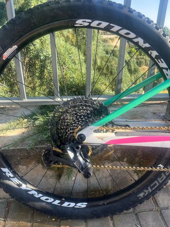Used Canyon Lux World Cup CF 7 2023 2023 Mountainbike, Weiß — image 3 of 8