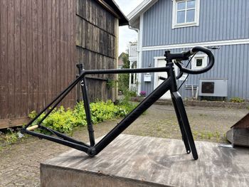 Used Canyon Endurace AL Disc 8.0 2019 Frameset 2019 Road & Gravel