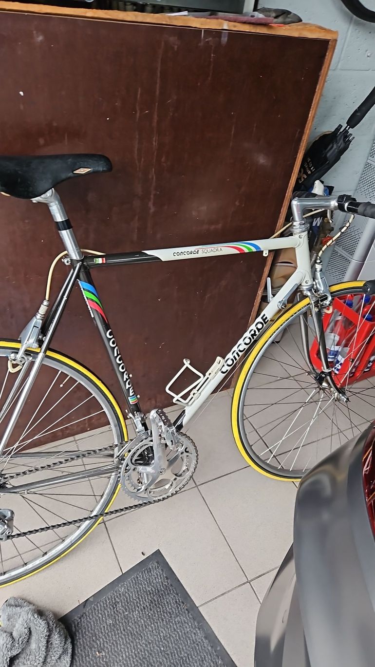 Used Concorde squadra Concorde squadra Custom Campagnolo Record 1990 Road & Gravel — image 1 of 5