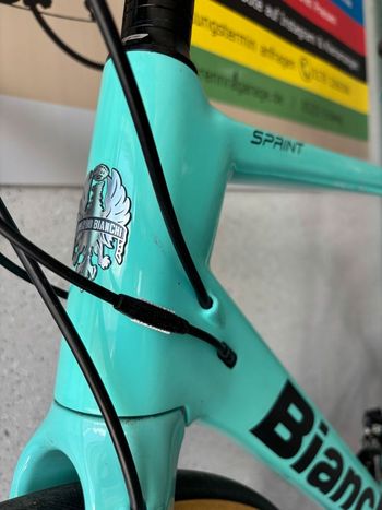 Used Bianchi Sprint Disc Ultegra 2021 2021 Road & Gravel — image 10 of 13
