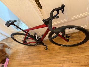 Used Lapierre Xelius DRS 6.0 2025 2025 Road & Gravel