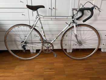 Used Peugeot Px Other 1974 Road & Gravel