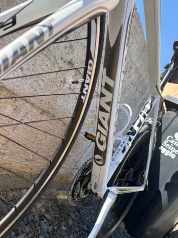 Tweedehands Giant Defy 3 2012 2012 Road & Gravel, ,  — afbeelding 2 van 10