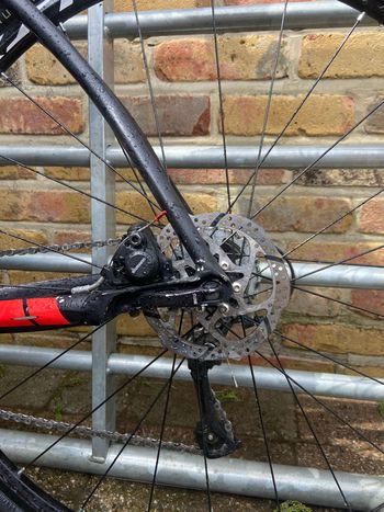Used Francesco Moser Leader 1997 1997 Road & Gravel — image 4 of 8