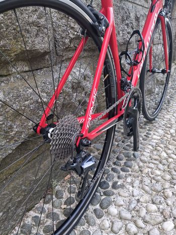 Used Specialized Men's Tarmac Expert 2018 2018 Road & Gravel, Rot — image 13 of 14