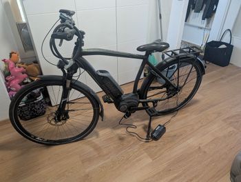 Used Rose Xtra Watt Evo Alfine 11 2018 Urban & Touring