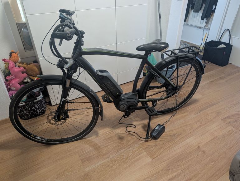 Used Rose Xtra Watt Evo Alfine 11 2018 Urban, Light Gray — image 1 of 2