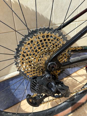 Used Trek Supercaliber SLR 9.9 XX AXS Gen 2 2024 2024 Mountainbike, Rojo — image 3 of 11
