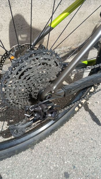 Used Trek Procaliber 8 2024 2024 Mountainbike, Green, 29 — image 3 of 5