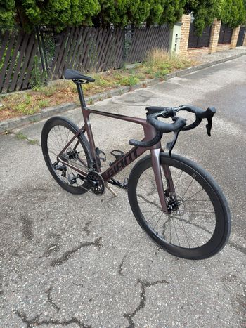 Used Giant Propel Advanced 1 2023 2023 Road & Gravel, Purple — image 4 of 15