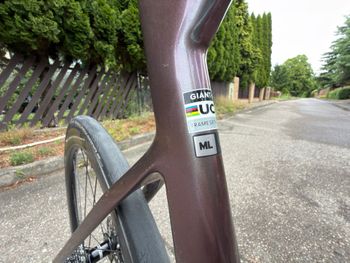 Used Giant Propel Advanced 1 2023 2023 Road & Gravel, Purple — image 15 of 15