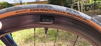 Used Giant TCR Advanced SL 1 Disc 2021 2021 Road & Gravel, Blau — image 3 of 14
