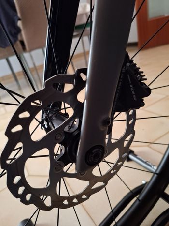 Used Trek Domane SL 5 Gen 4 2023 2023 Road & Gravel, Light Gray — image 9 of 16
