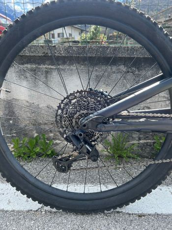 Used Specialized Stumpjumper Alloy 2021 2021 Mountainbike, Black, 29 — image 3 of 7