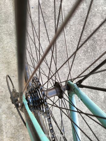 Used Bianchi Spillo Rubino Deluxe Gent 2021 2021 Urban, Green — image 3 of 8