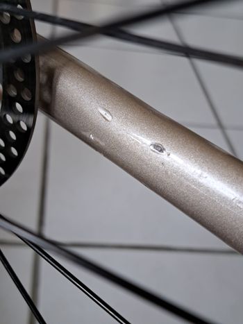 Used Technium (Eigenmarke von fahrrad.de) Elevator 2006 Mountainbike, Weiß — image 6 of 9