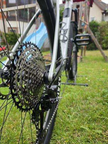 Used Canyon Exceed CF 7 2025 2025 Mountainbike — image 3 of 8