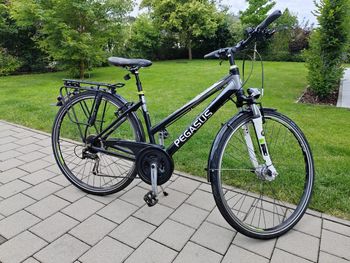 Pegasus Solero Shimano Alivio 2016 Urban & Touring usato