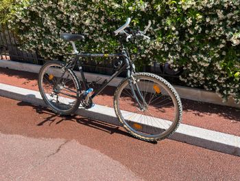 Used DECATHLON DECATHLON Custom Shimano Tourney 1995 Mountainbike, Black — image 2 of 3