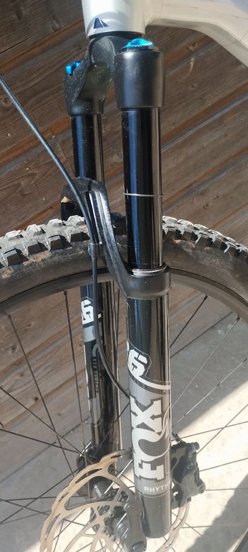 Used Canyon Spectral 29 AL 6 2023 2023 Mountainbike, Black — image 5 of 8