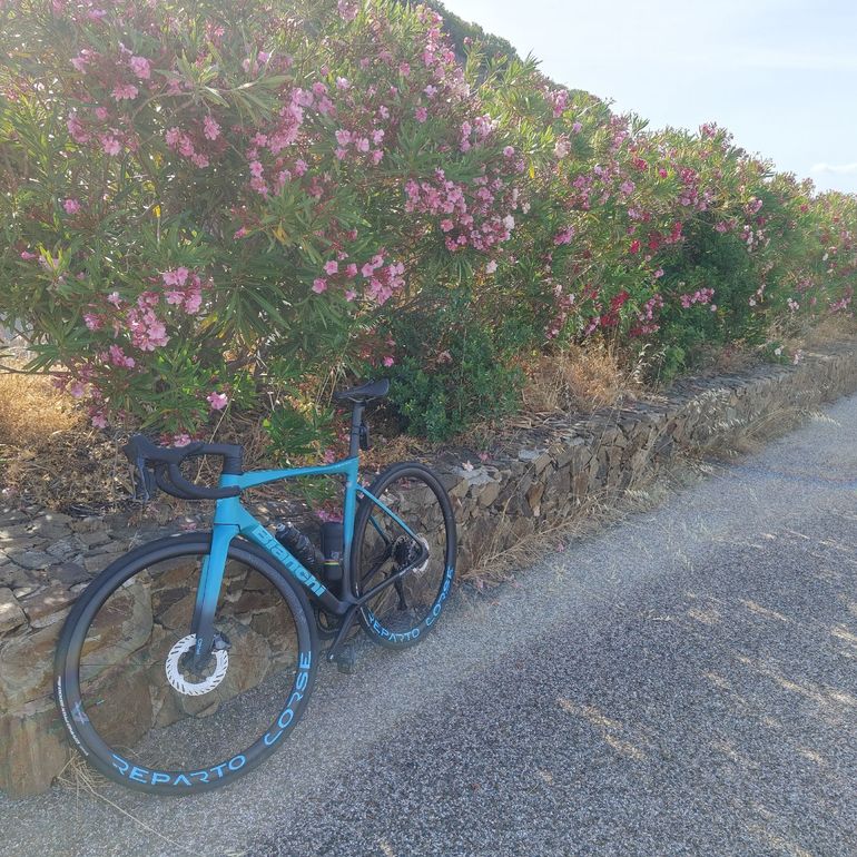 Used Bianchi Specialissima PRO Ultegra Di2 2025 2025 Road & Gravel, Verde — image 4 of 4