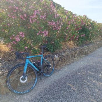 Used Bianchi Specialissima PRO Ultegra Di2 2025 2025 Road & Gravel, Verde — image 2 of 4