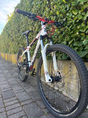 Used Focus Focus Custom Shimano SLX 2018 Youth, White — image 3 of 8