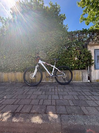 Used Focus Focus Custom Shimano SLX 2018 Youth, White — image 2 of 8