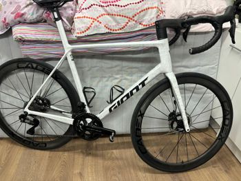 Used Giant TCR Advanced SL Frameset 2025 Frameset 2025 Road & Gravel, Weiß — image 7 of 7