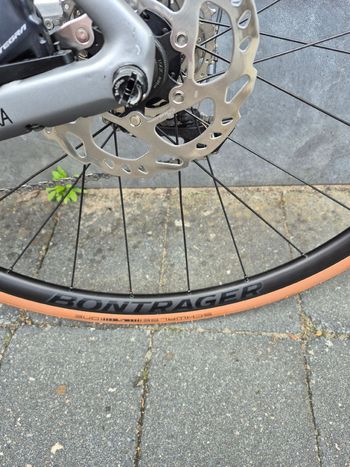 Used SAVA SAVA Custom Shimano Ultegra 2024 Road & Gravel, Hellgrau — image 7 of 8