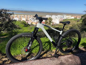 Gebrauchtes Focus RAVEN 8.8 2023 2023 Mountainbike, Hellgrau, 29 — Bild 8 von 9