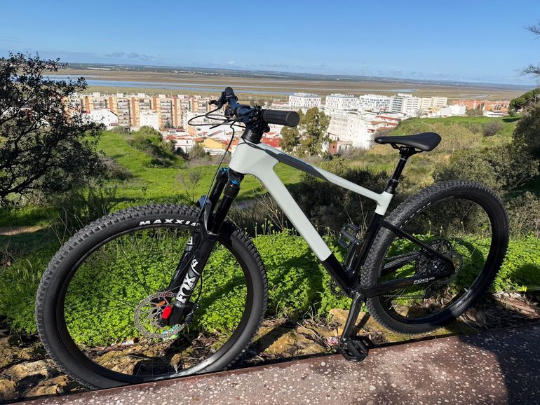 Used Focus RAVEN 8.8 2023 2023 Mountainbike, Light Gray, 29 — image 8 of 9