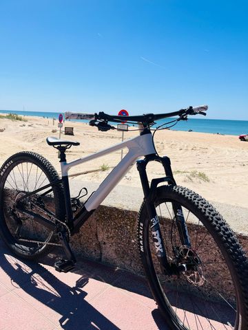 Gebrauchtes Focus RAVEN 8.8 2023 2023 Mountainbike, Hellgrau, 29 — Bild 1 von 9