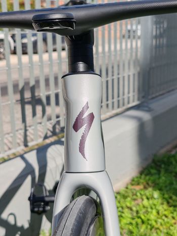 Used Specialized Tarmac SL8 Pro - SRAM Force AXS 2026 2026 Road & Gravel, Light Gray — image 4 of 4