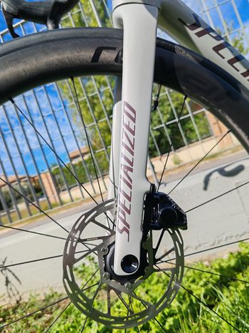 Used Specialized Tarmac SL8 Pro - SRAM Force AXS 2026 2026 Road & Gravel, Light Gray — image 3 of 4
