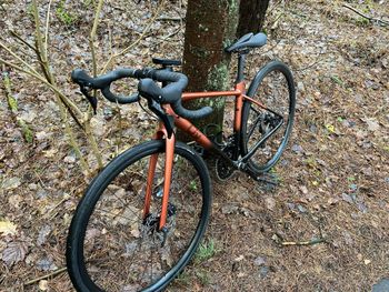 Used Liv Avail AR 1 2023 2023 Road & Gravel — image 2 of 3