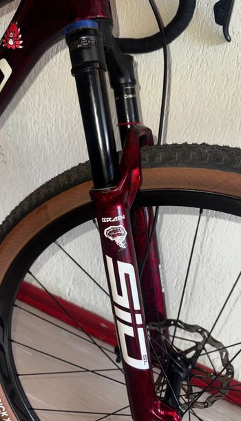 Used S Works S Works Custom Frameset 2024 Mountainbike, Red — image 9 of 9