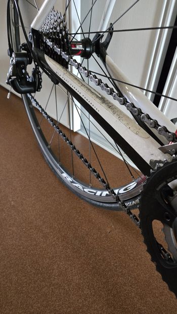 Used Specialized Roubaix SL2 Comp Full Carbon 2012 Road & Gravel, Blanco — image 7 of 10