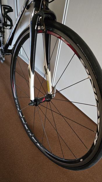Used Specialized Roubaix SL2 Comp Full Carbon 2012 Road & Gravel, Blanco — image 9 of 10