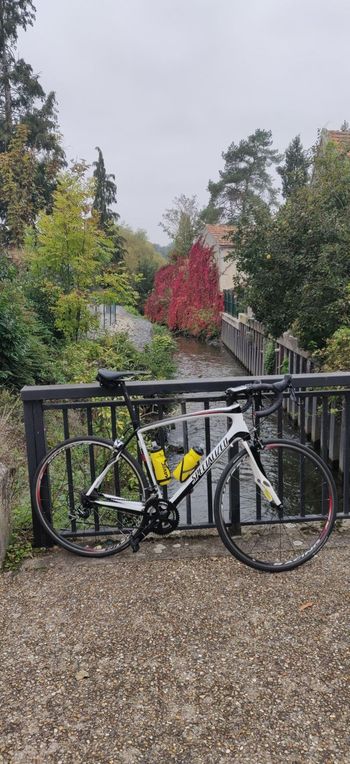 Used Specialized Roubaix SL2 Comp Full Carbon 2012 Carretera y gravel