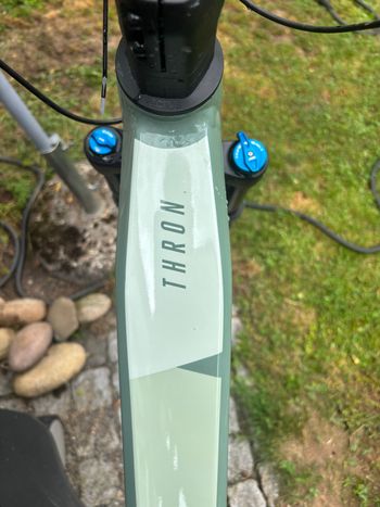 Used Focus THRON 6.9 2022 2022 Mountainbike — image 8 of 9