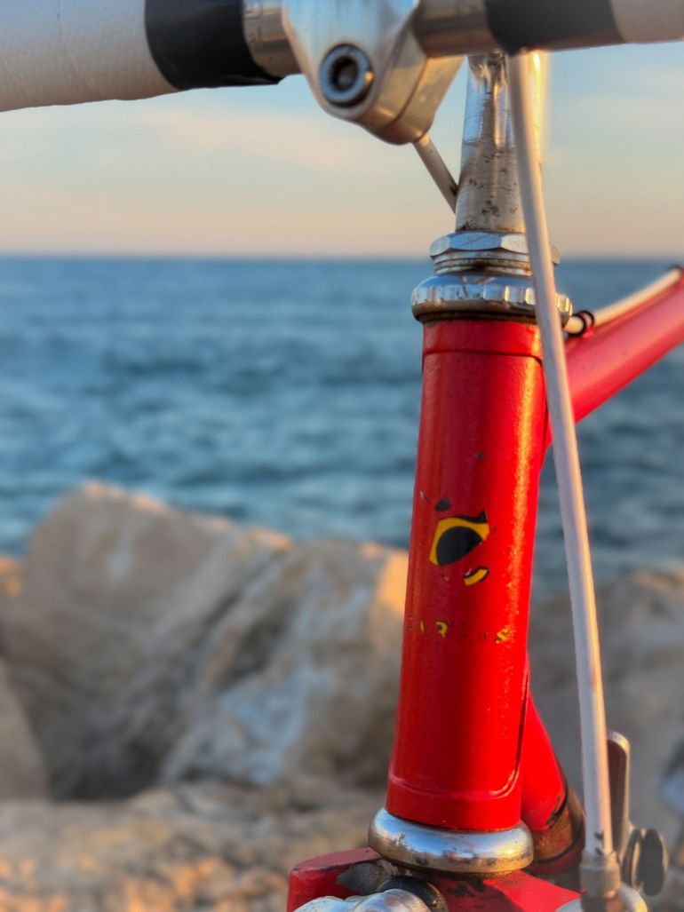 Used Peugeot M Simplex Vintage 1980 Road & Gravel — image 4 of 8