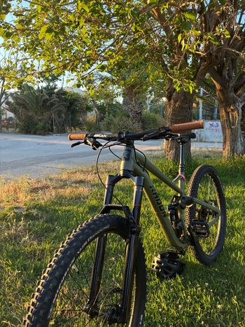 Used Radon SWOOP AL 8.0 2024 2024 Mountainbike, Green, 29 — image 4 of 6