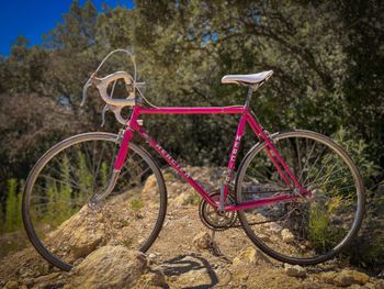 Used Mercier Mercier Custom Simplex Vintage 1980 Road & Gravel — image 5 of 5
