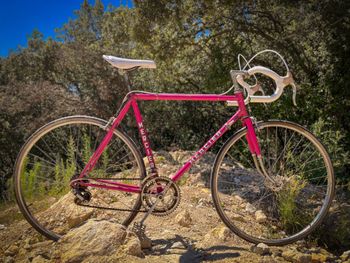 Used Mercier Mercier Custom Simplex Vintage 1980 Road & Gravel — image 4 of 5
