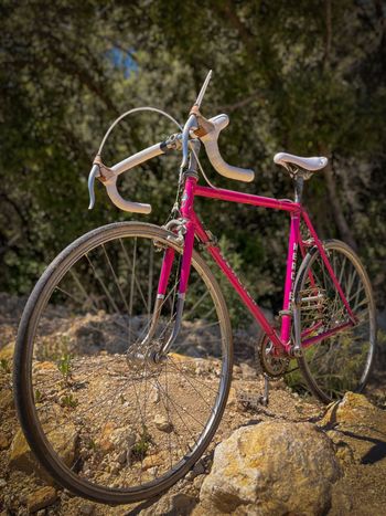 Used Mercier Mercier Custom Simplex Vintage 1980 Road & Gravel