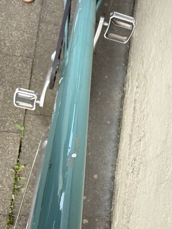 Used Schindelhauer Lotte 2022 2022 Urban, Grün — image 4 of 4