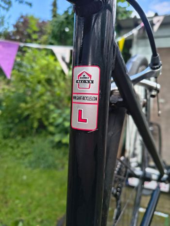 Gebrauchtes Giant OCR Compact Road 2000 Road & Gravel, Schwarz,  — Bild 8 von 11