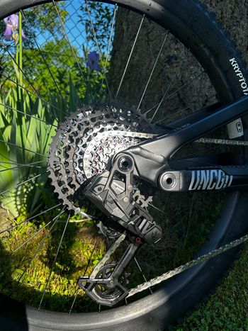 Used YT Industries Capra 29 CORE 3 AL 2025 2025 Mountainbike, Black — image 11 of 12